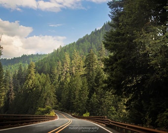 Oregon Forest Road Photo, green and blue, fine photography prints, Forest Drive