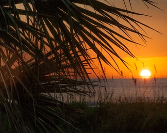 Myrtle Beach sunrise photo, Black orange and yellow, fine photography giclée print, Myrtle Morning