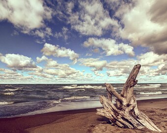 Presque Isle beach driftwood, HDR photograph, Blue and tan, fine photography print, Driftwood