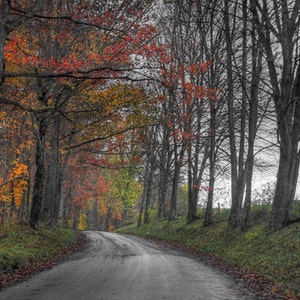 Amish Country Photo, HDR photograph, Selective color, red, green, yellow, orange fine photography prints, A Colorful Bend