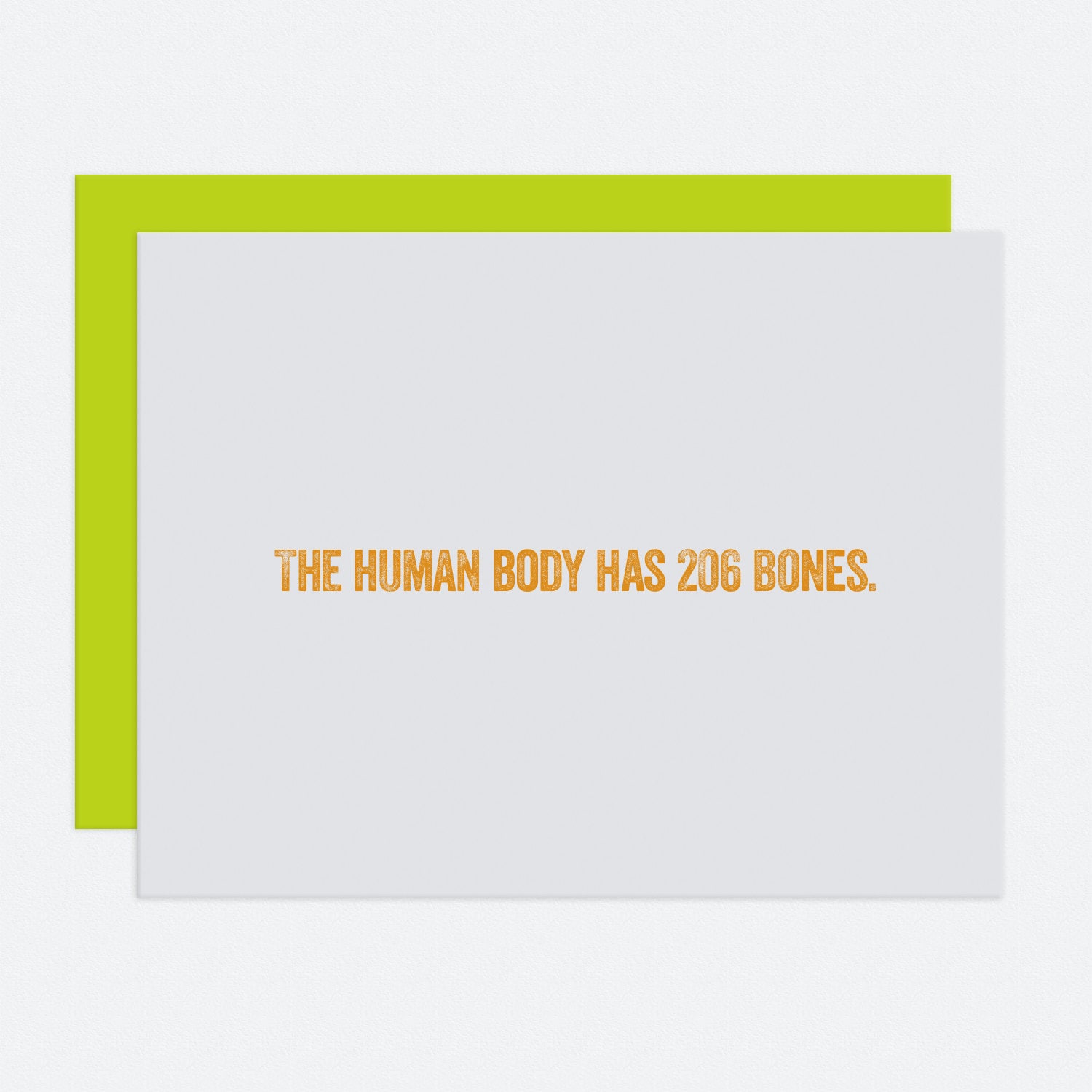 207 Bones - I Like You Card - Etsy
