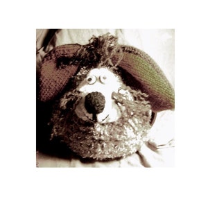 Dog Tea Cosy Knitting Pattern
