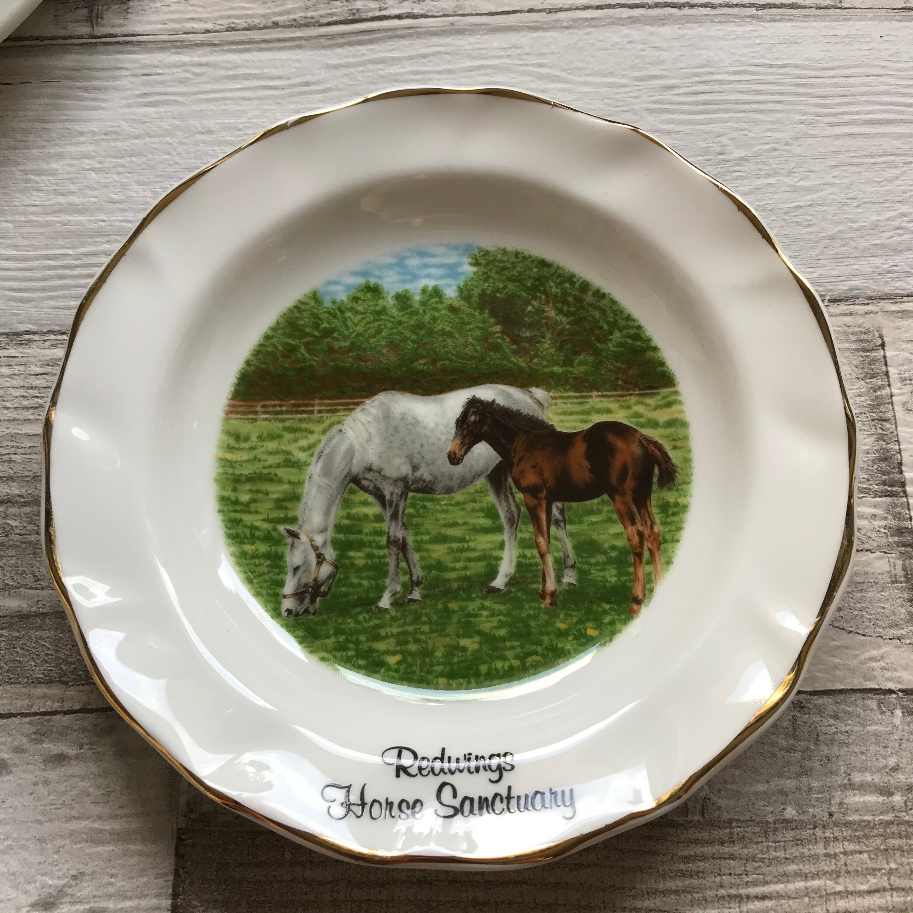Redwings Horse Sanctuary Plates 