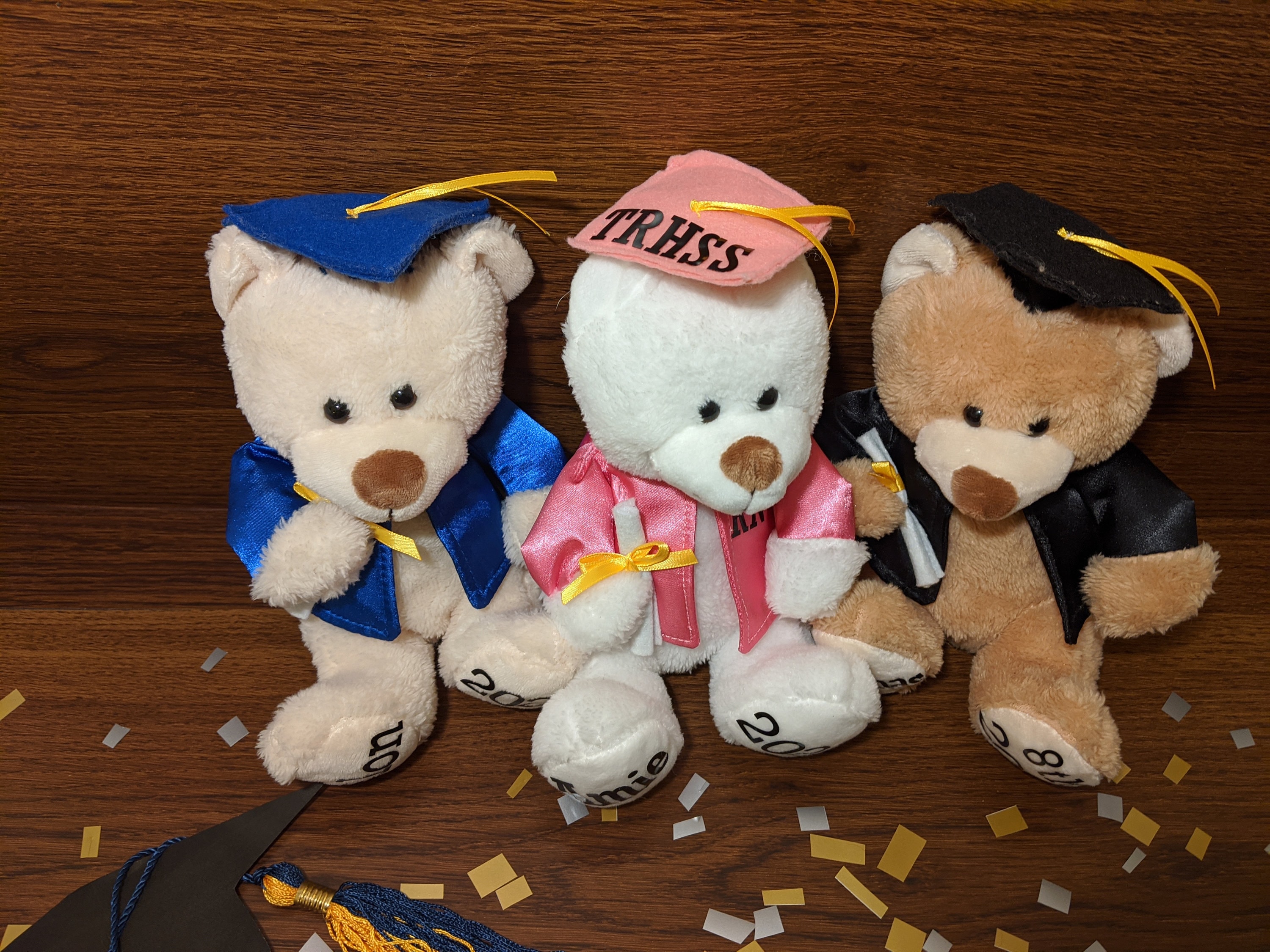 Graduation Teddy Bear Personalized Plush High School College Etsy