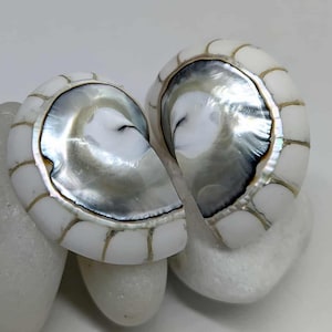 Handmade Nautilus Shell Earrings, Natural Ocean Jewelry, Silver Beach Jewelry, Beach Earrings, Unique Shell Studs, Beach Bride Earrings Gift