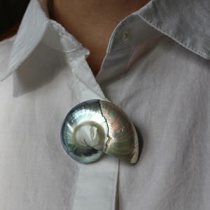 以下が含まれることがあります： 青、緑、銀色の真珠光沢のある虹色の貝殻のブローチが、白いボタンダウンシャツにピンで留められています。 ブローチはオウムガイの貝殻の形をしています。 テキスト「OPT-2」は黒で印刷されています。