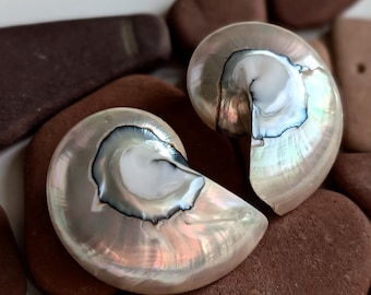 Handmade Nautilus Shell Earrings, Natural Ocean Jewelry, Silver Beach Jewelry, Beach Earrings, Unique Shell Studs, Beach Bride Earrings Gift