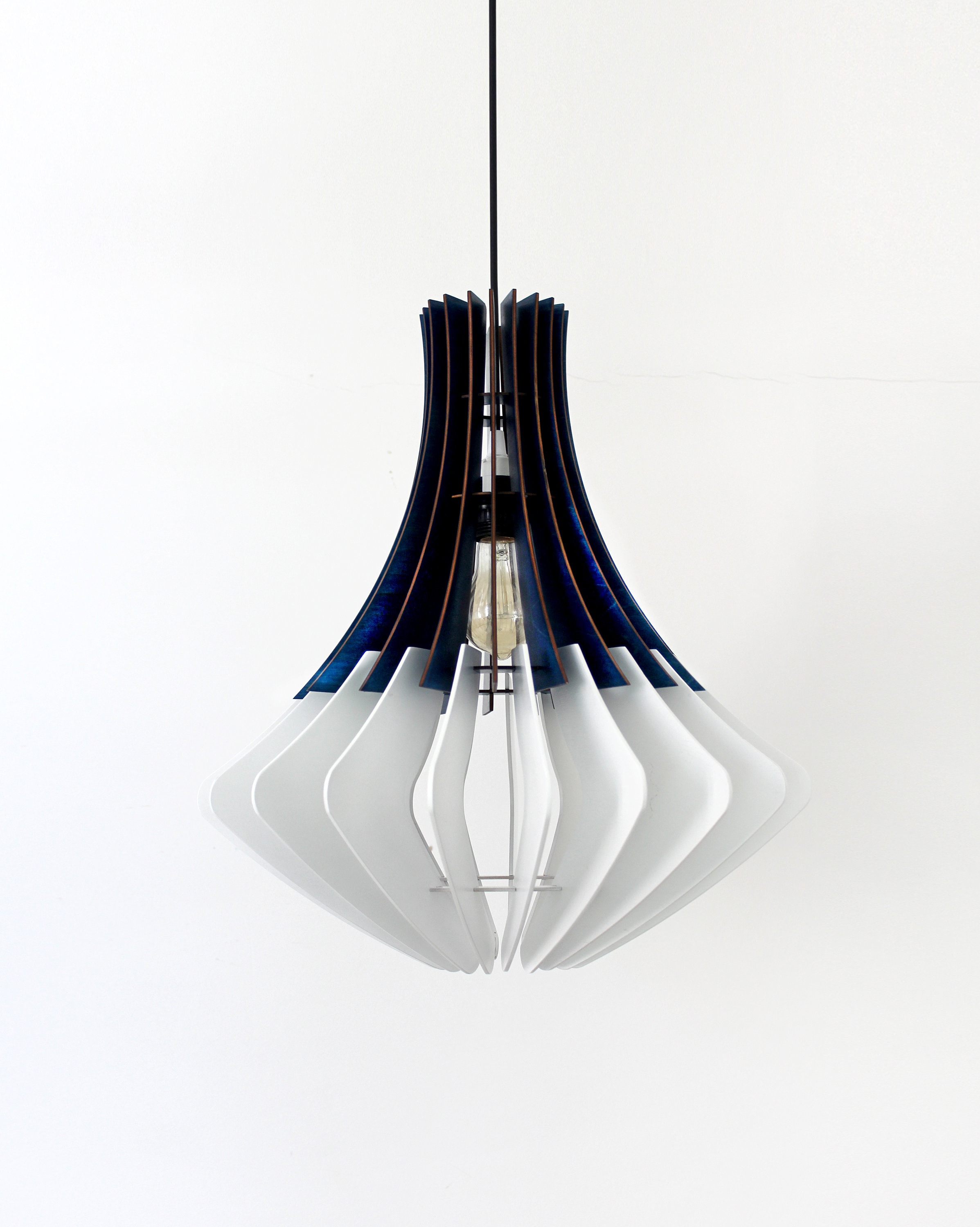 Modern Pendant Light / Dining Hanging 