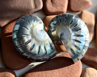 Handmade Nautilus Shell Earrings, Natural Ocean Jewelry, Silver Beach Jewelry, Beach Earrings, Unique Shell Studs, Beach Bride Earrings Gift