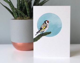 Goldfinch greetings card | Blank Card | Illustrated Card | Goldfinch | A6 Greetings Card | Bird card