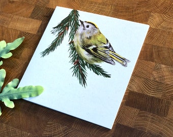 Goldcrest Greetings Card | Greetings Card | Illustrated Greetings Card | Blank Greetings Card | Bird Card