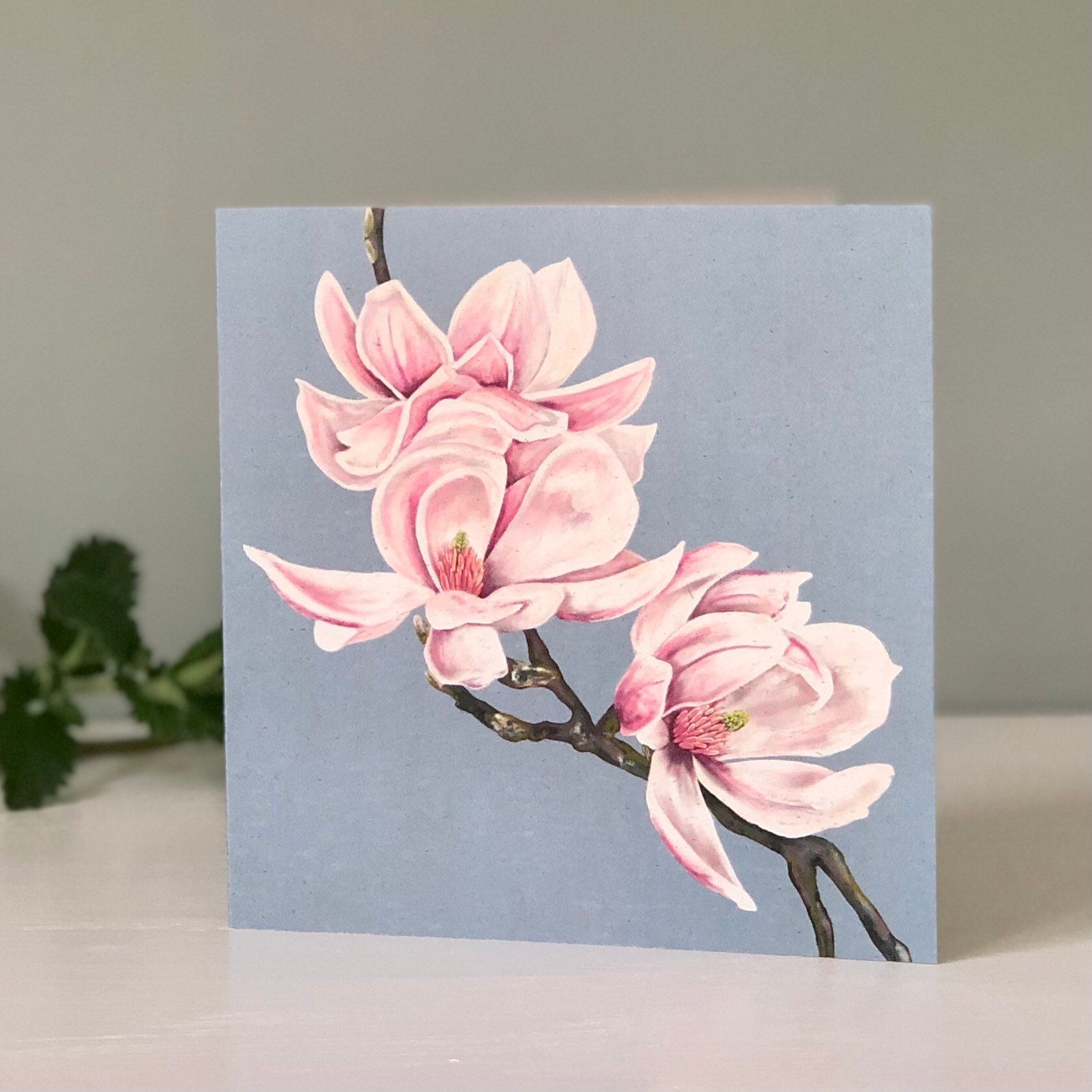 Magnolia Greetings Card Blank Card Illustrated Card - Etsy