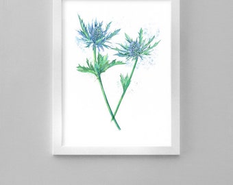 Sea Holly print | A4 print | Interior decor | Wall art | Floral design