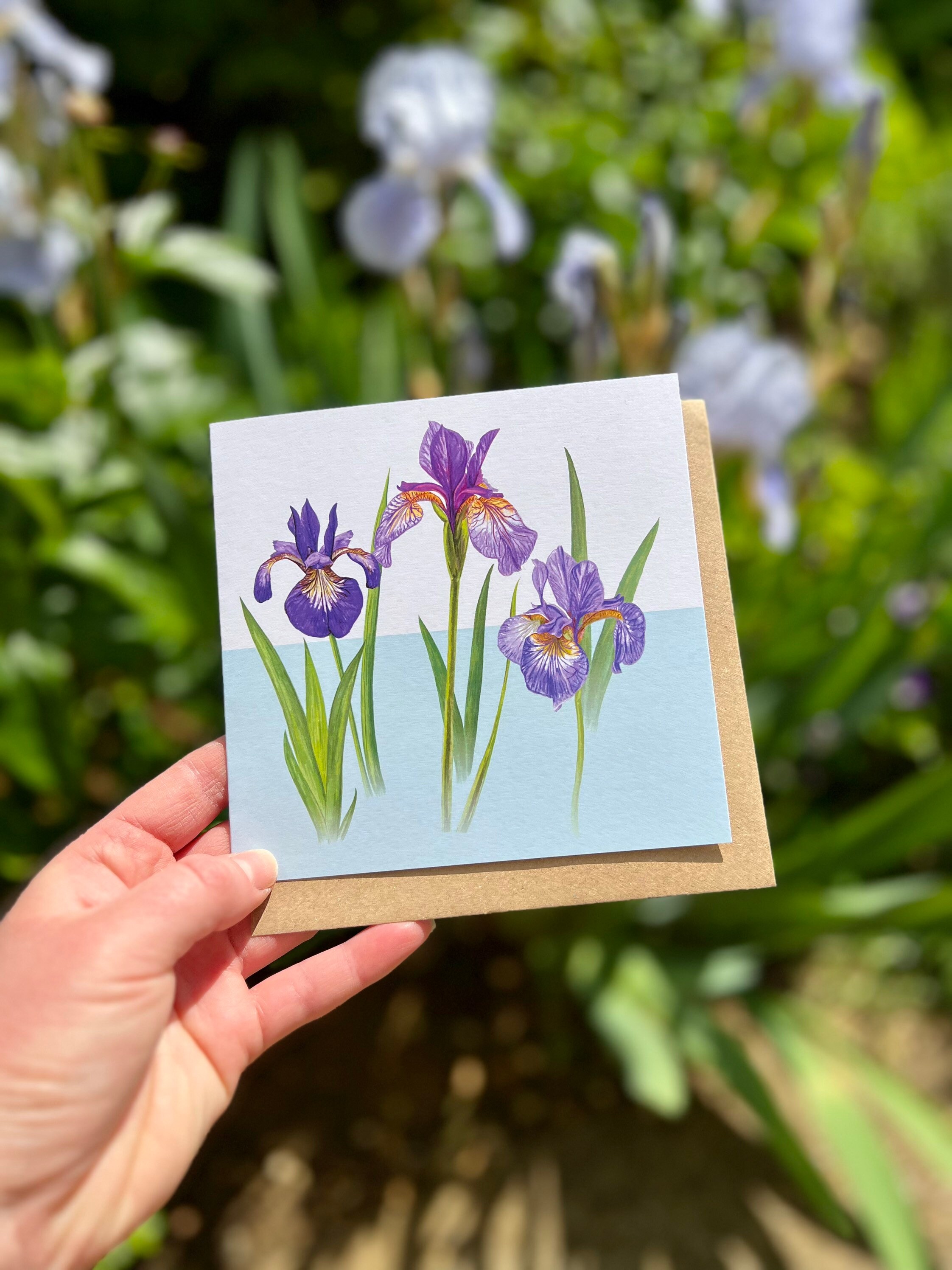 Iris Flower Greetings Card Greetings Card Illustrated Greetings Card ...
