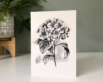 Hydrangea pencil drawing Card | Greetings Card | Illustrated Greetings Card | Blank Greetings Card