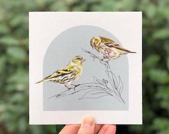 Siskin Greetings Card | Greetings Card | Illustrated Greetings Card | Blank Greetings Card | Bird Card