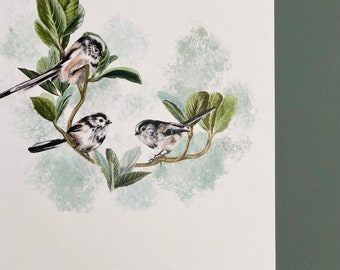 Long Tailed Tit Vintage music sheet printed bird picture wall art antique