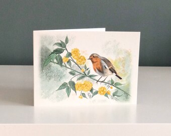 Robin greetings card | Summer Robin | Illustrated greetings card | British bird card | A6 blank greetings card