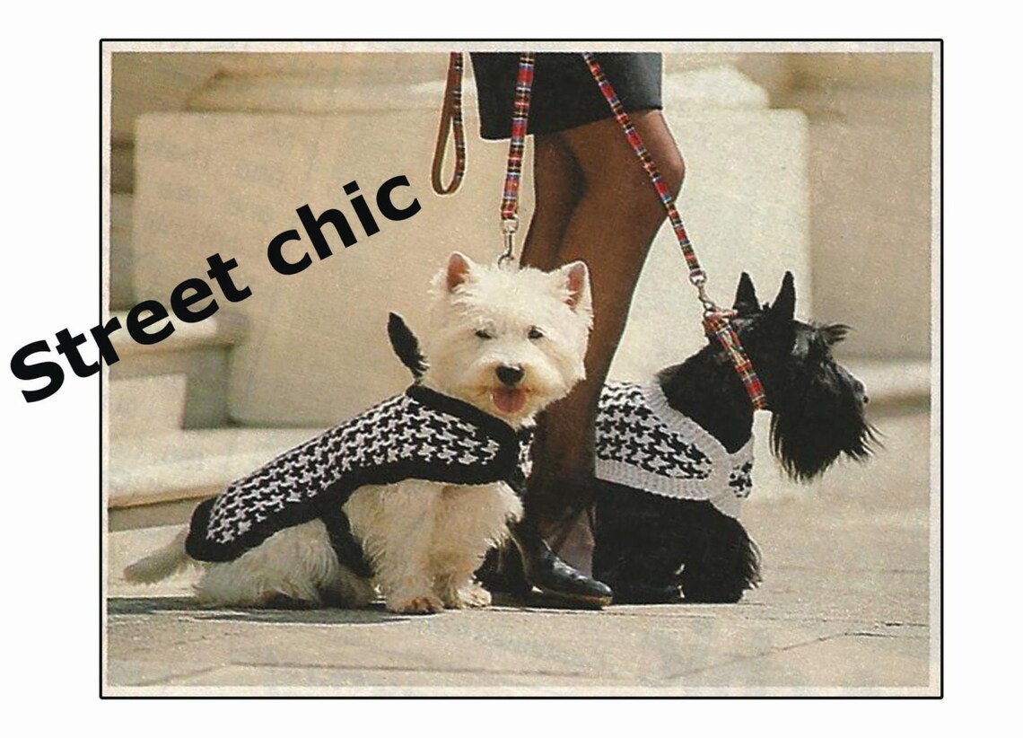 Dog Coat Knitting Pattern for Westie Dog PDF Etsy