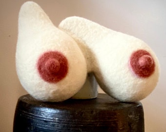 Breast Sculpture, Breasts, Anatomy Art, Human Anatomy, Wool, Needle Felting by Wooly Topic