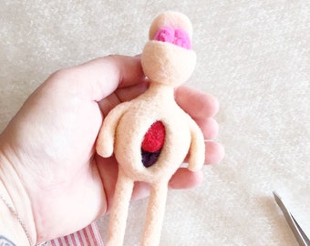 Anatomy Doll, Small sized, Pretend Play, Medical Doll, Human Organs, Brain, Wool Doll, Art Doll, Doctor Doll by wooly topic