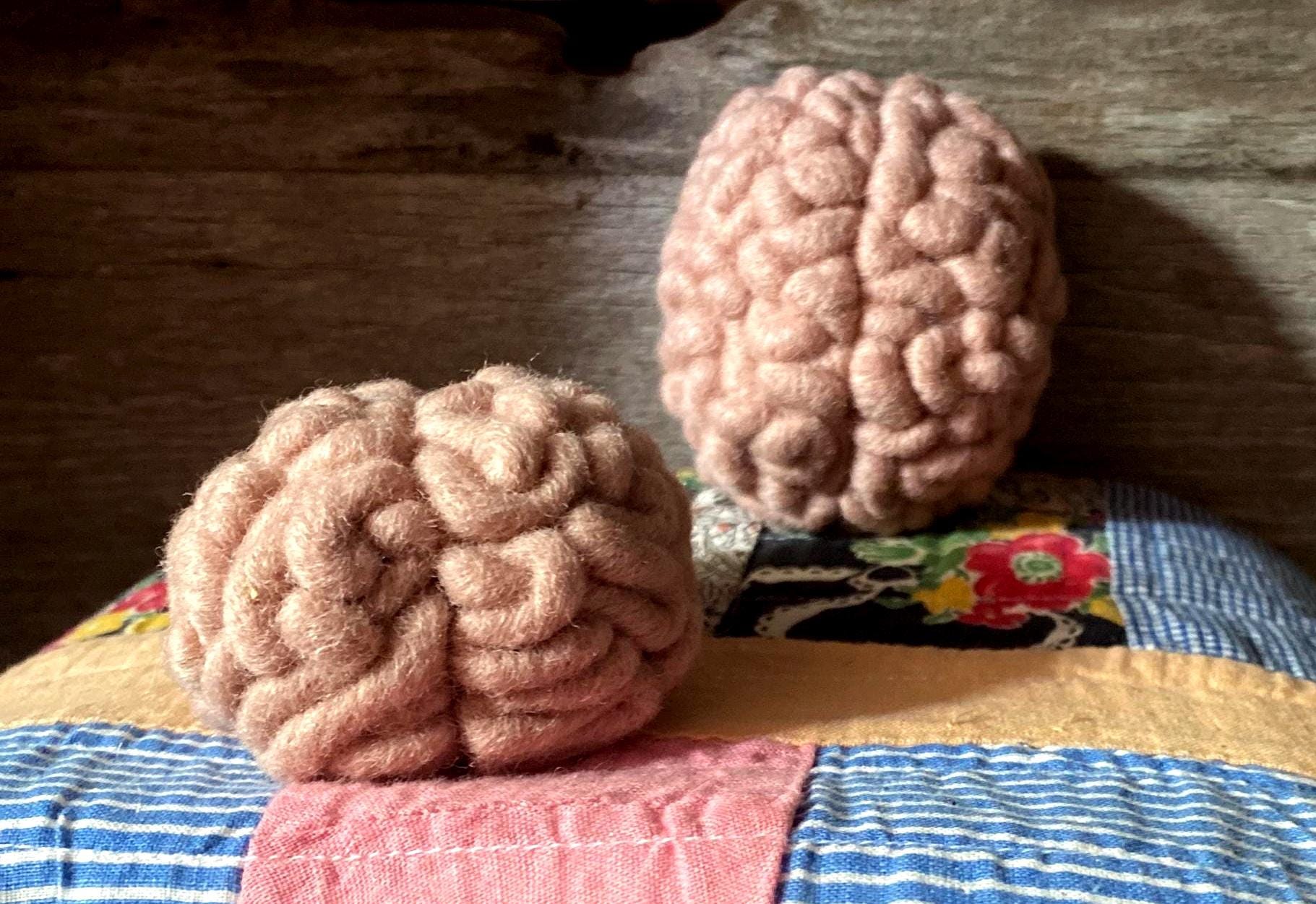 Wool Brain Sculpture - Anatomy Art - Needle Felted (human Brain ...