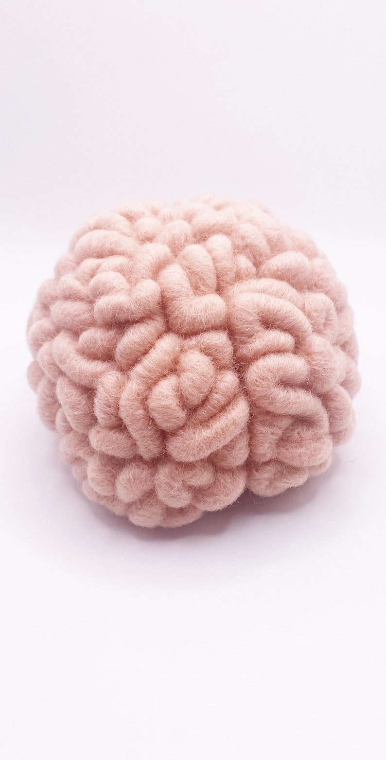 Wool Brain Sculpture - Anatomy Art - Needle Felted (human Brain ...