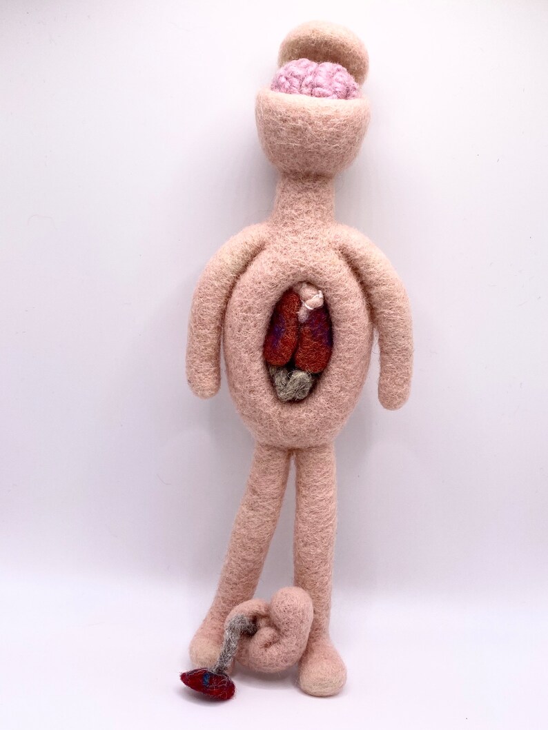 Anatomy Doll Human Anatomy Art Art Doll Medical Doll Etsy