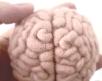 Wool Brain Sculpture - Anatomy Art - Needle Felted (human brain) - Biology - Neuroscience -