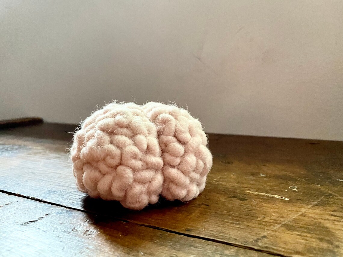 Custom Brain Sculpture. Human brain wool needle Felted Etsy