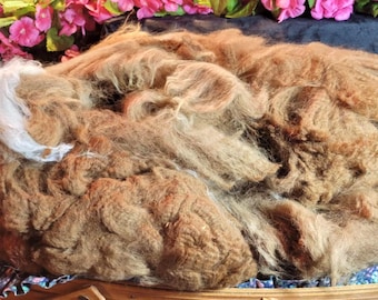 Alpaca Fiber: Raw baby, Medium Fawn & White - Sal's First Fleece