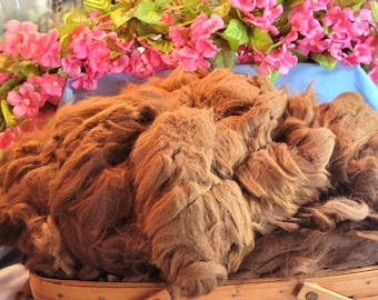 Alpaca Fiber: Raw, Med. fawn Super Soft - 1 oz (raw-meaning right off animal)