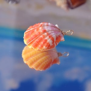 Gorgeous Hawaiian Double Sided Sunrise Shell (26.90 mm) wire wrapped with 14K Solid Yellow Gold Wire