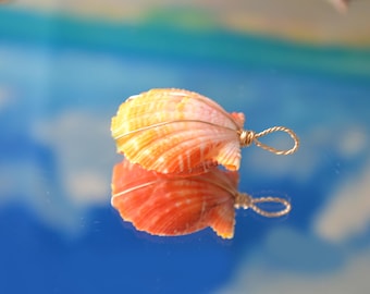 Hawaiian Sunrise Shell Double  Sided Pendant: 14K Gold Wire Wrapped (25.40 mm)
