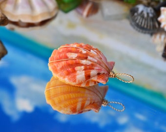 31.70 mm Hawaiian Sunrise Shell Double Sided Pendant wrapped with solid 14k Yellow Gold