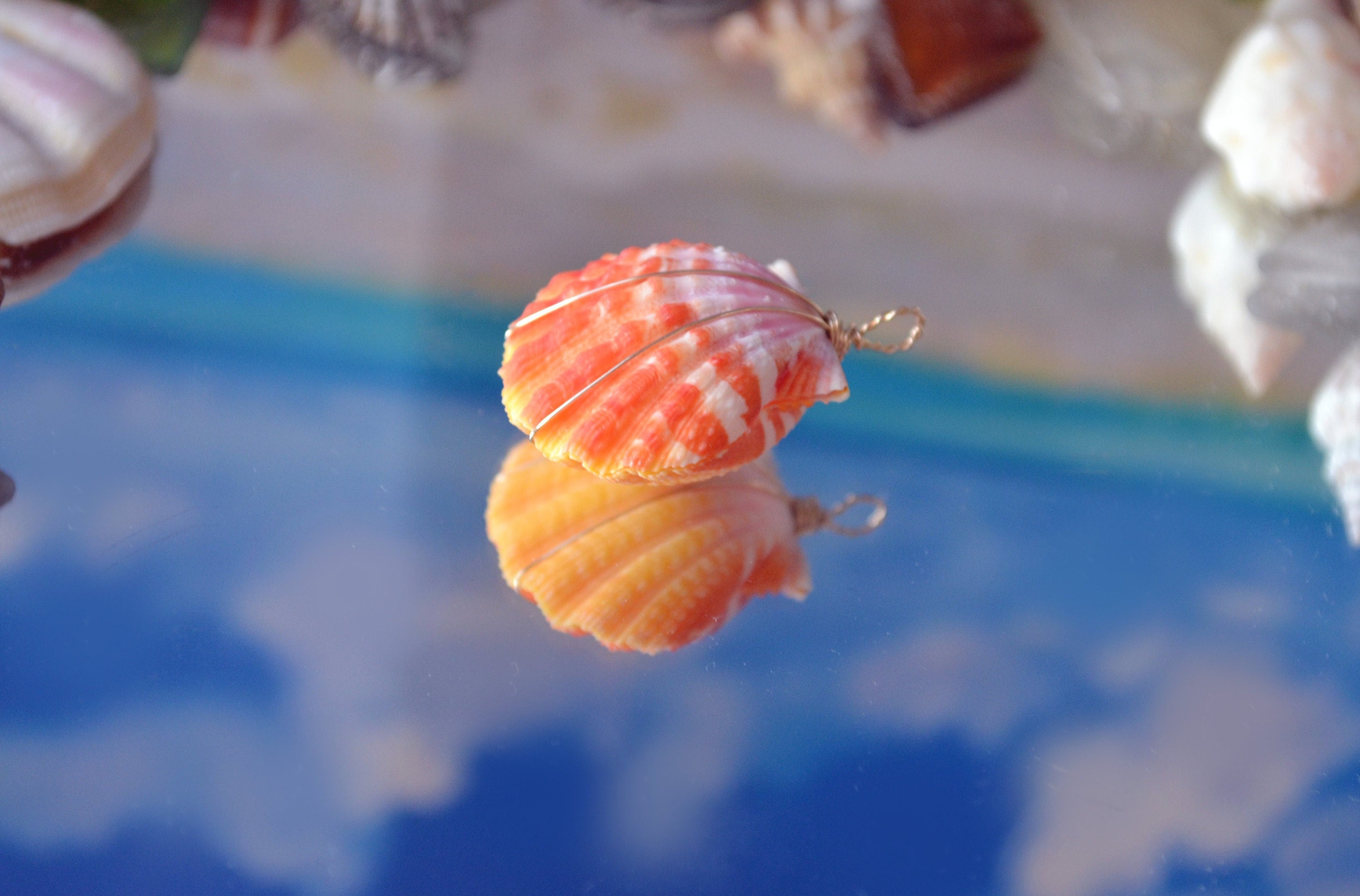 14K Gold Wire Wrapped Hawaiian Sunrise Shell Double Sided Pendant (26.90 mm)