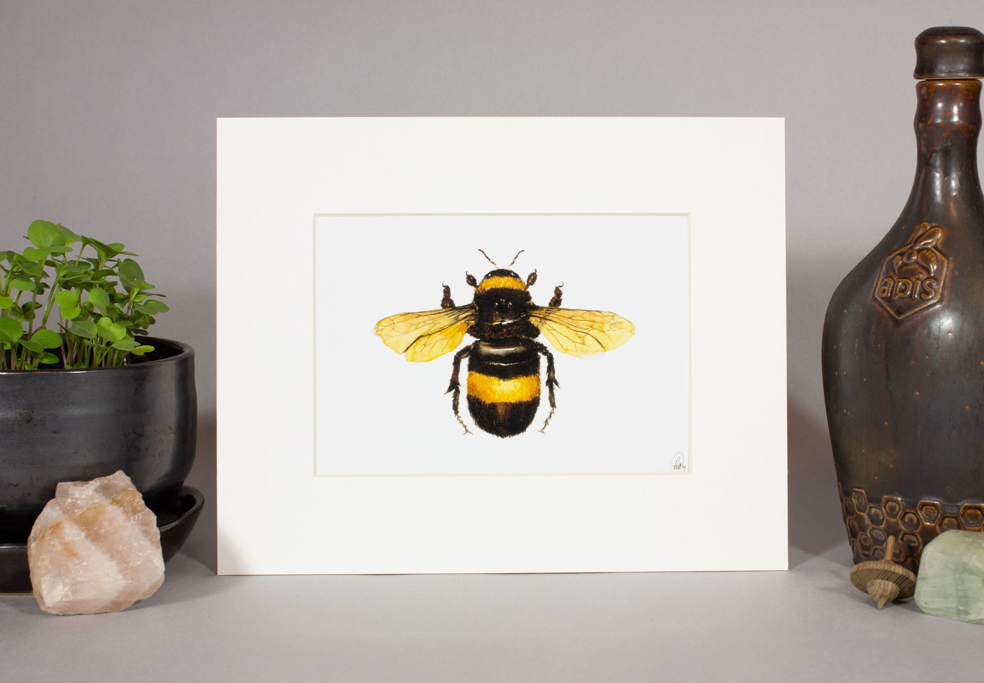 Framed insect paintings and art prints — Otterwell Studio