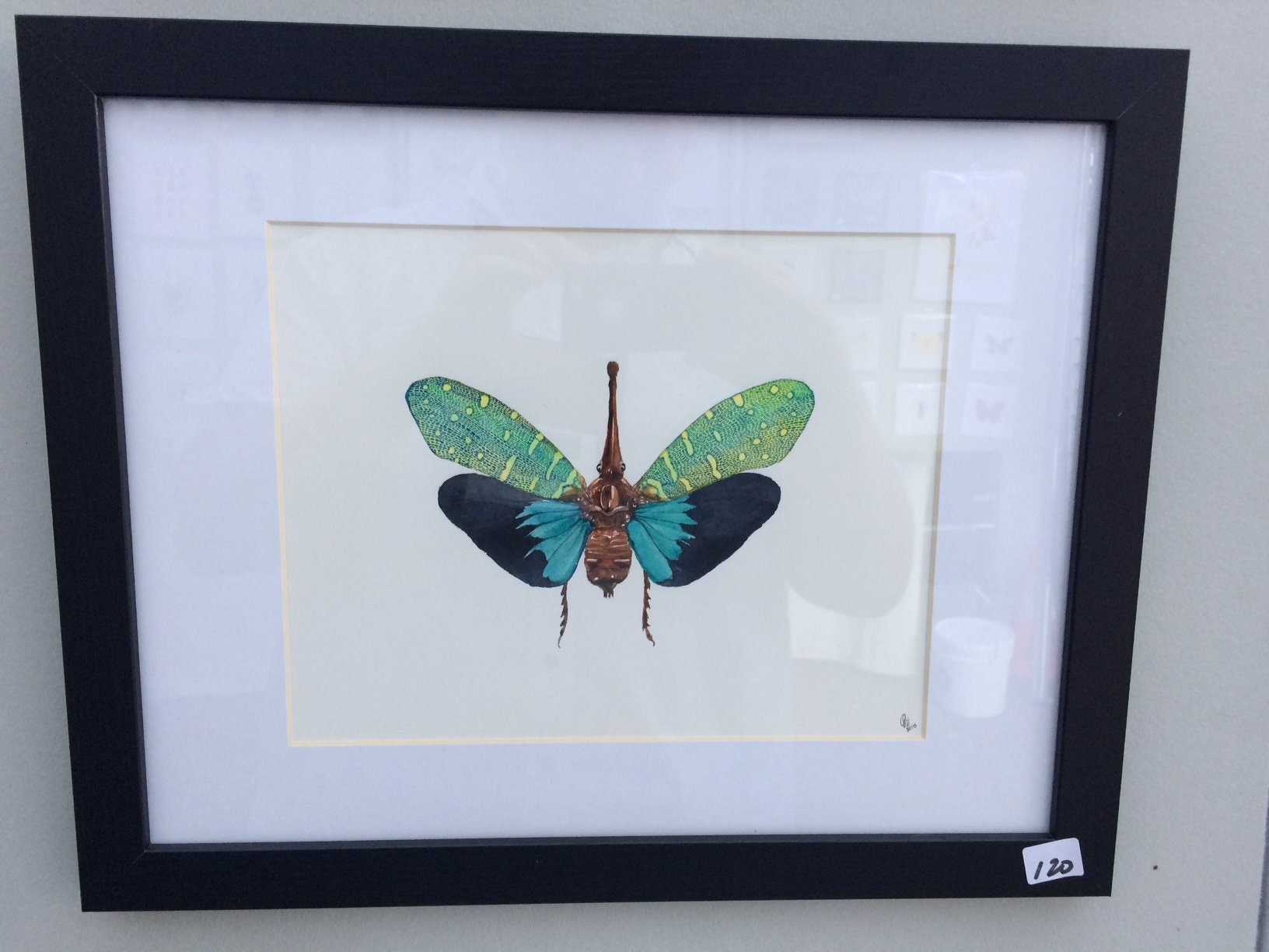 Framed insect paintings and art prints — Otterwell Studio