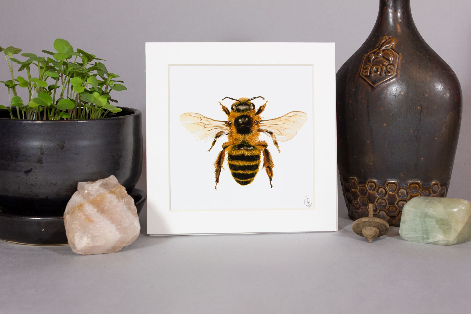 Framed insect paintings and art prints — Otterwell Studio