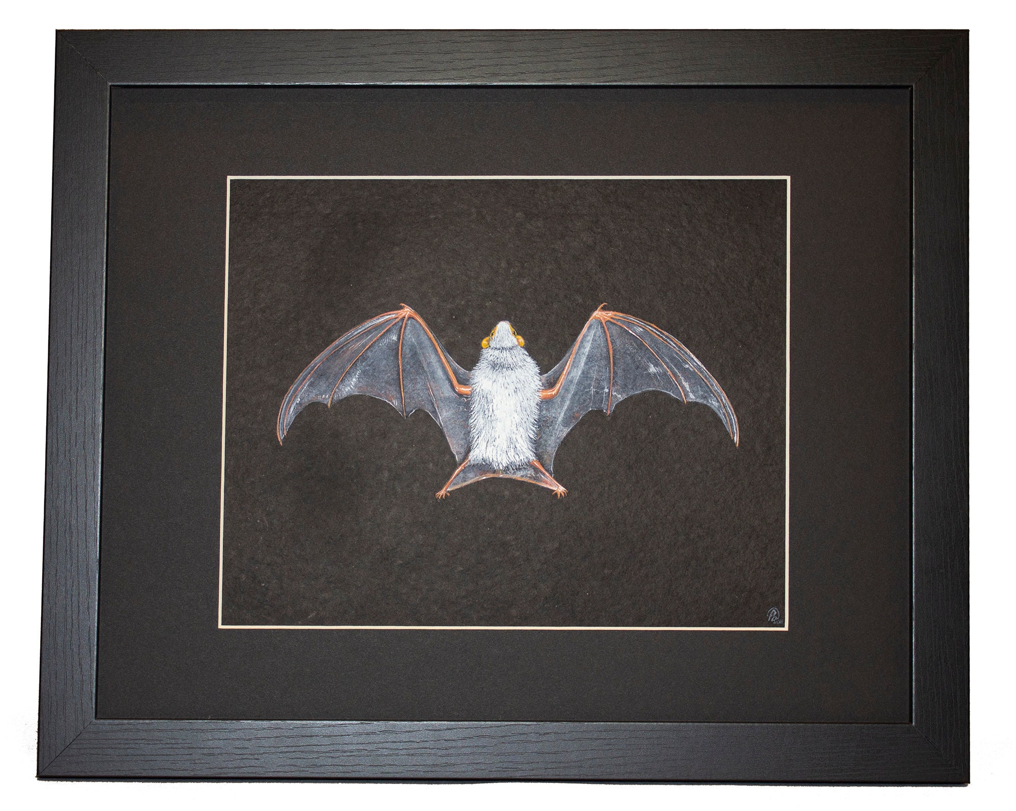 Artwork Northern Ghost Bat framed, Mounted Ghost Bat Painting