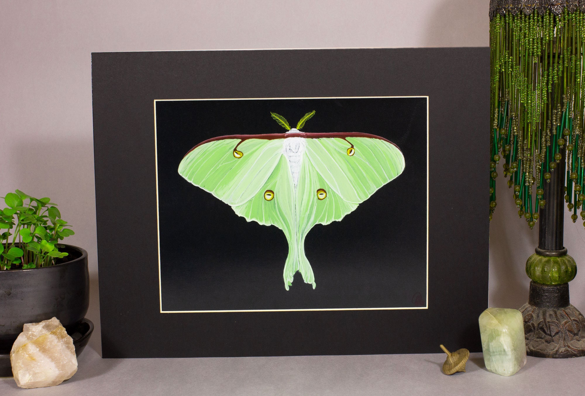 ARTWORK, Luna Moth Painting, Mounted Insect Art, Luna Moth Framed Art