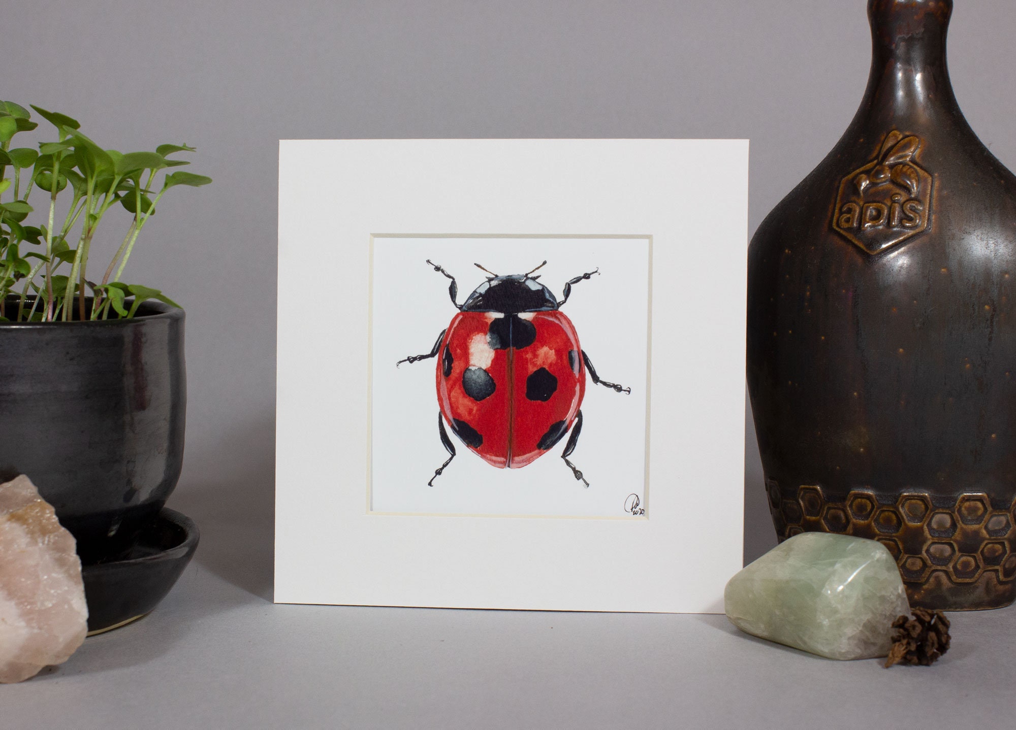 Framed insect paintings and art prints — Otterwell Studio