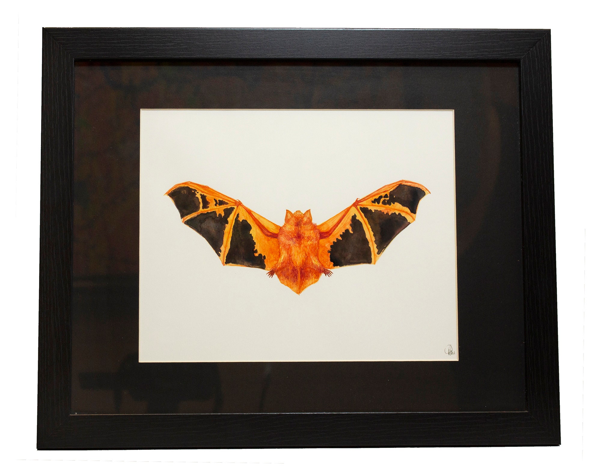 Painted Bat Kerivoula picta Watercolor — Otterwell Studio