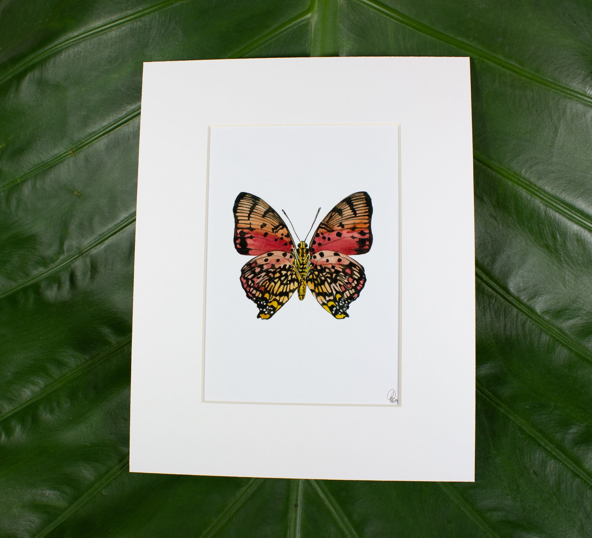 Framed insect paintings and art prints — Otterwell Studio