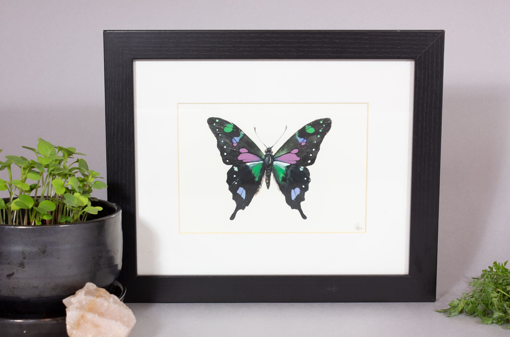 Framed insect paintings and art prints — Otterwell Studio