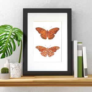Gulf Fritillary Butterfly Watercolor Painting, Agraulis vanillae painting, Mounted butterfly art, Framed butterfly art