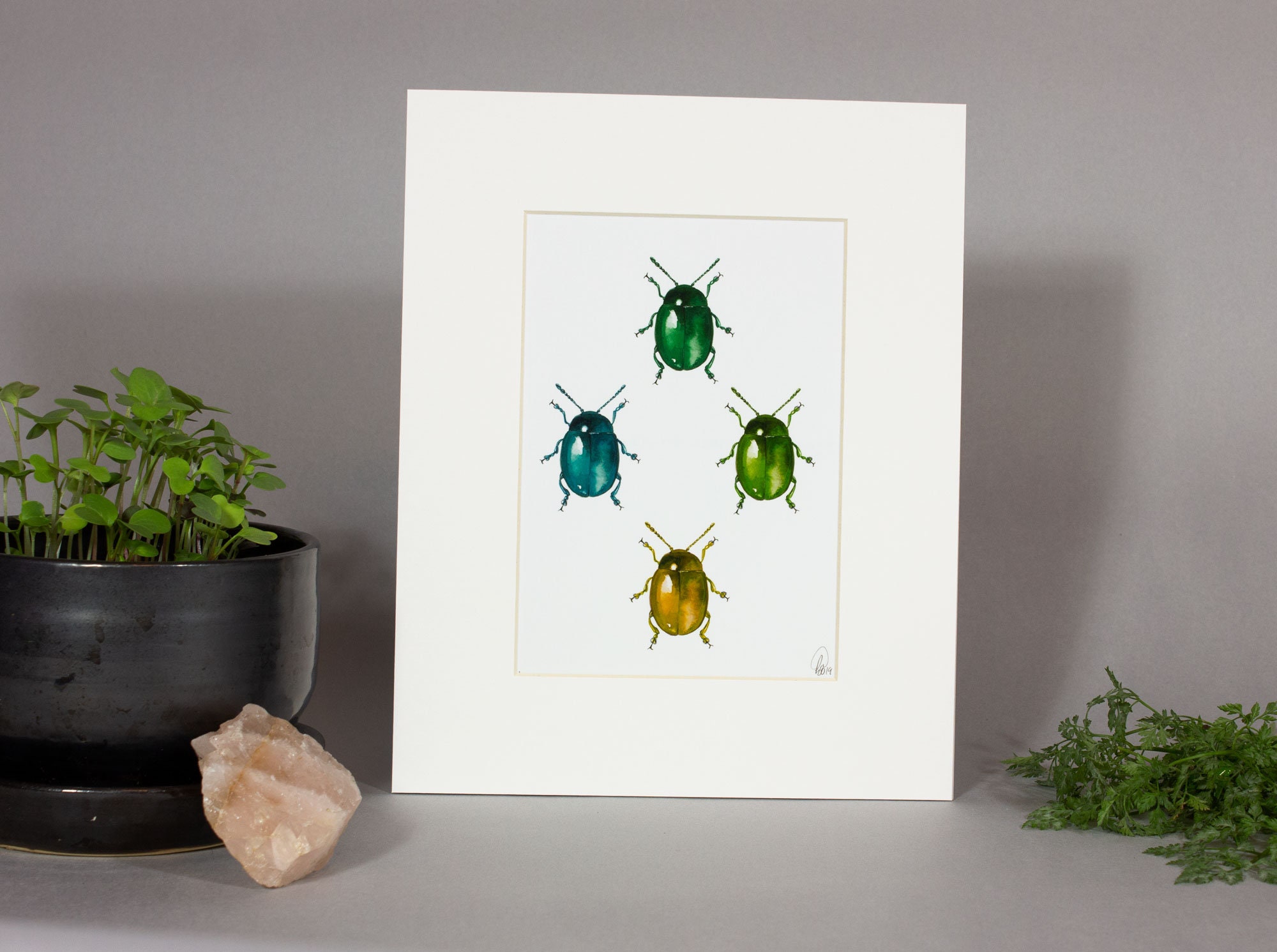 Framed insect paintings and art prints — Otterwell Studio
