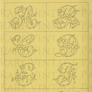 May include: A sheet of paper with eight different hand-drawn designs for the letter "S" in a cursive script. Each letter is surrounded by a floral design with leaves and flowers.