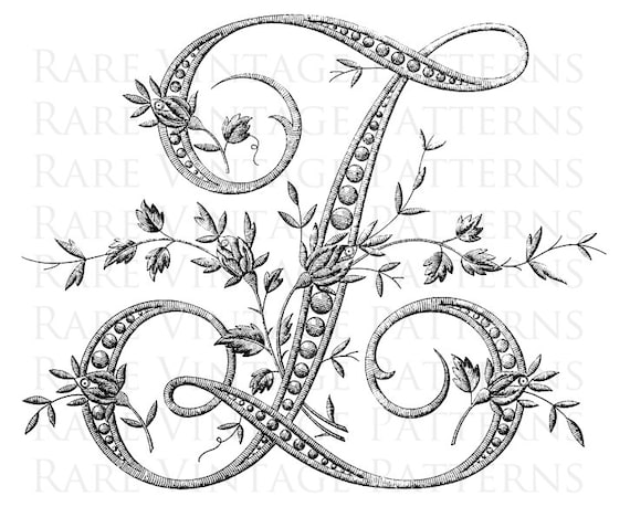 Z Letter Design Drawing
