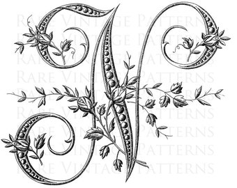 FRENCH ALPHABET STENCIL Large Letter - N - Monogram Initial Png Transparent and Jpg White Background Images Hand Embroidery Sewing Pattern